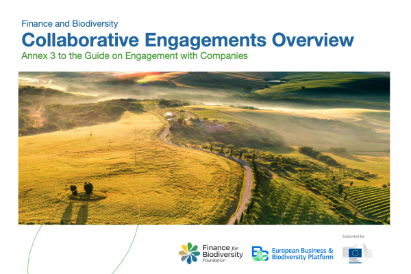Annex 3 Collaborative Engagements Overview eubb