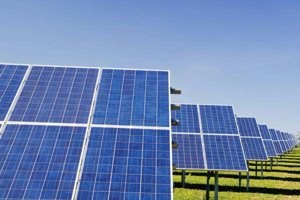 Picture of solar panels in a solar farm with a clear blue sky