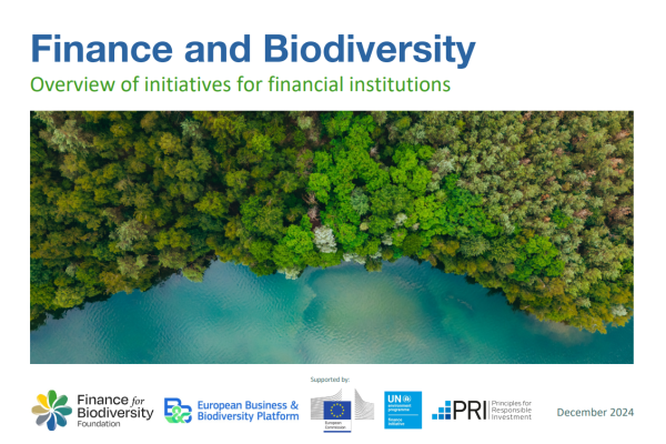 Overview of initiatives image june